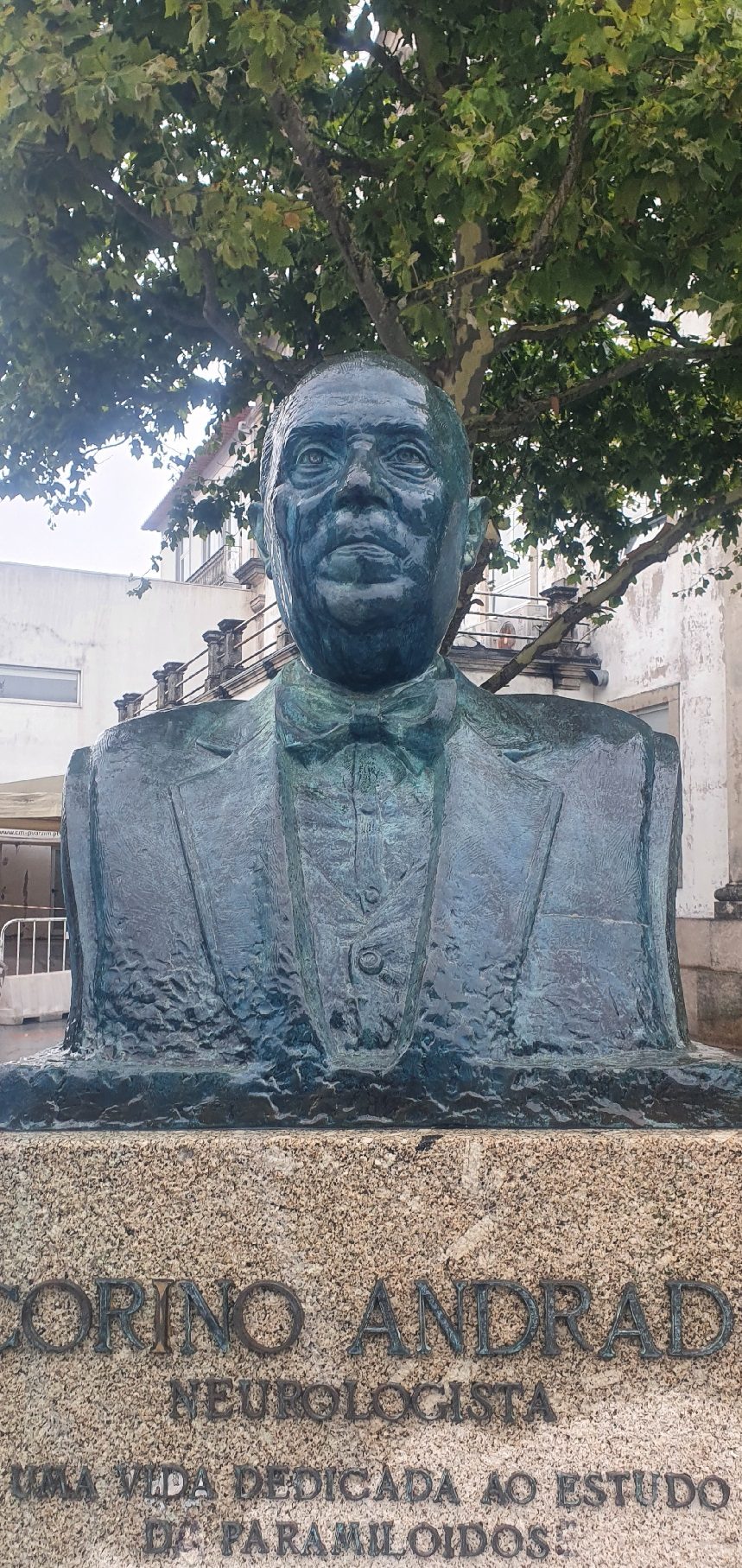 Corino de Andrade Figura do Busto - 2.jpg